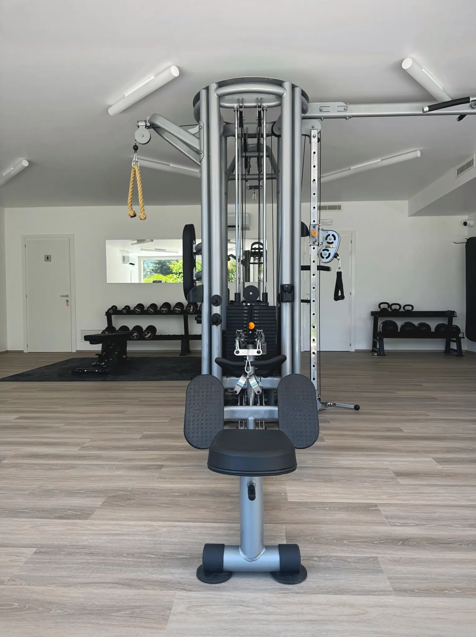 Cable and free-weight area