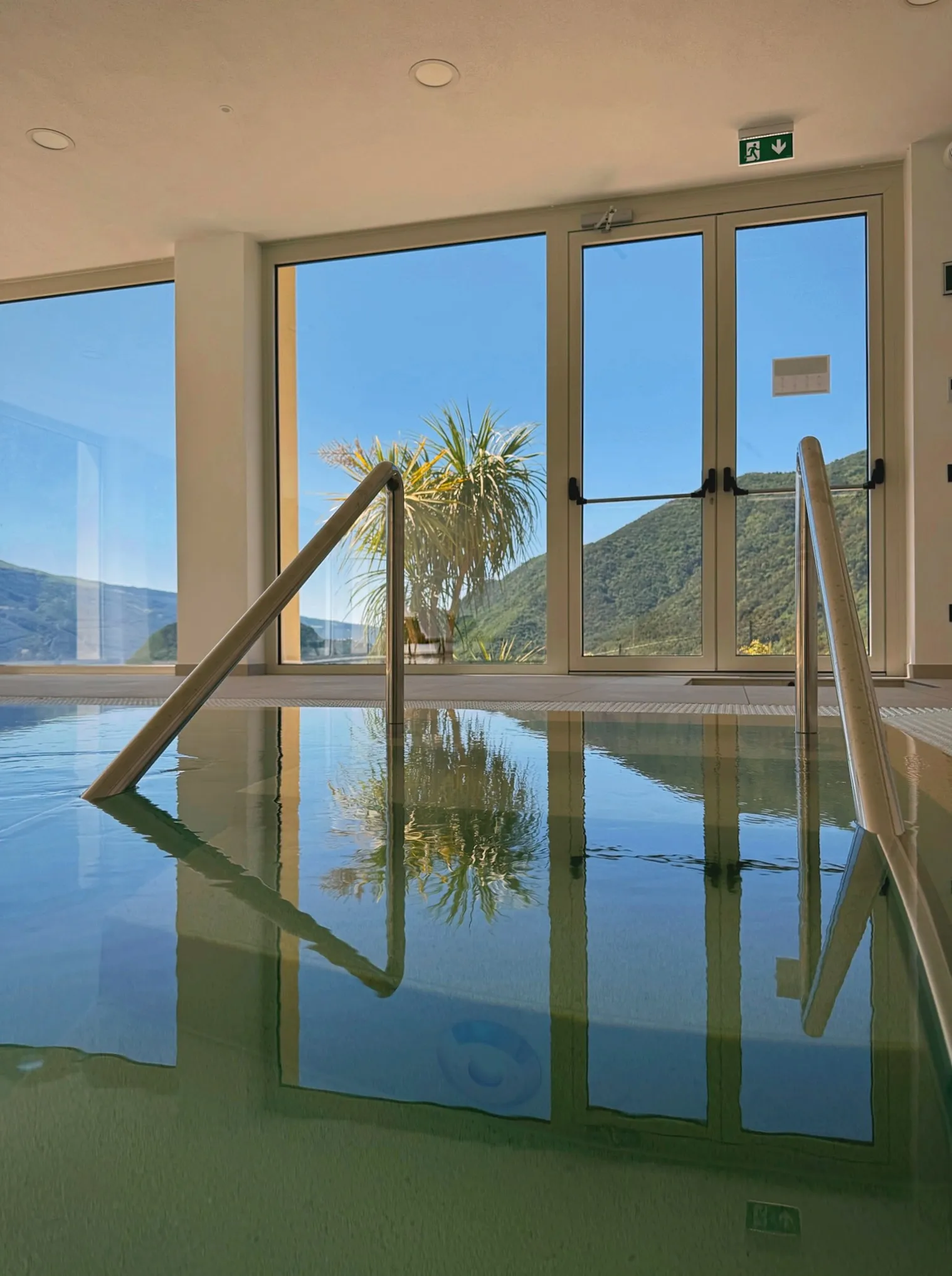 Pool entry with palm tree and mountain view