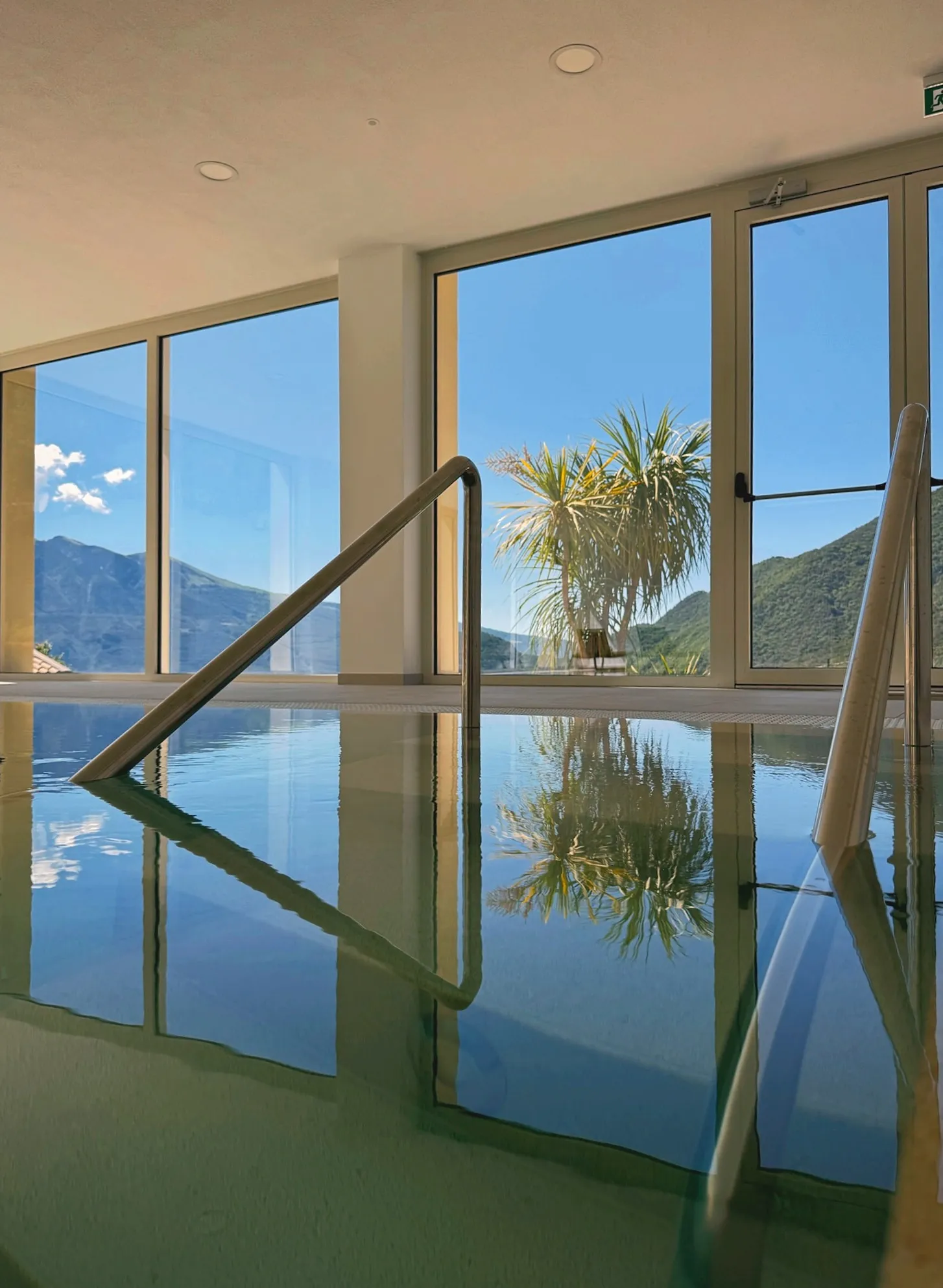 Panoramic view over the pool with palm tree